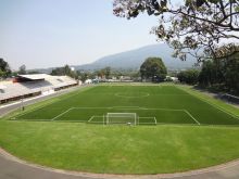 Grama Sintética - Estadio Municipal Las Delicias ES